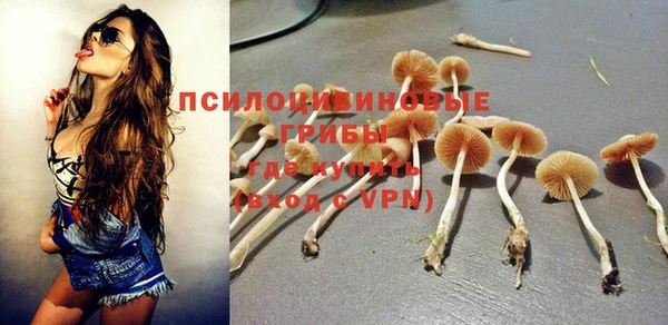 не бодяженный Армянск