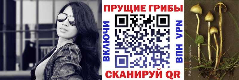 Псилоцибиновые грибы прущие грибы Калач